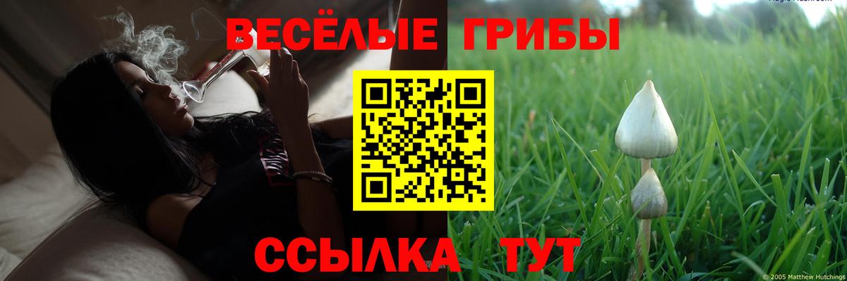 Псилоцибиновые грибы MAGIC MUSHROOMS  Вход с VPN  Юрга 